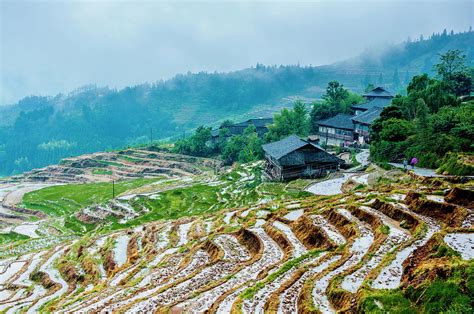  Longji Terraced Fields: Şaşırtıcı Bir Manzara ve Tarihi Zenginlik!