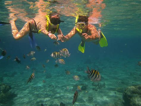  Isla Mujeres' Canlı Mercan Resifleri: Meksika'nın Gizli Cennetinde Bir Şnorkel Macerası!